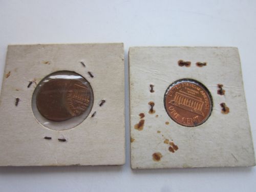 Lincoln-1970-D-Cent-Off-Center-Strike-Error