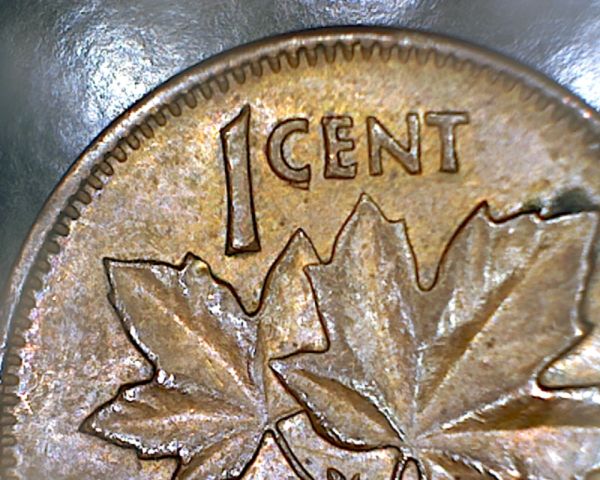 1956-Canadian-Cent---Doubling-Under-C-In-Cent