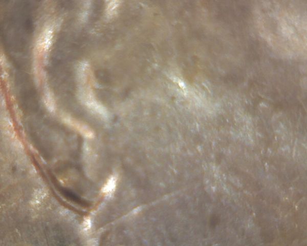 Odd-Looking-1973-S-Lincoln-Cent?