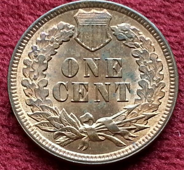 1896-Indian-Head-Cent-Major-Die-Clash-&-Retooled-Date