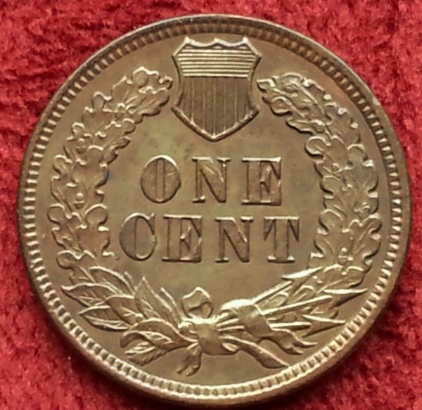 1902-Indian-Head-Cent-Cud-On-Feather