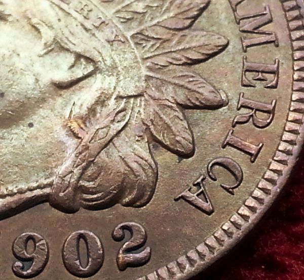 1902-Indian-Head-Cent-Cud-On-Feather
