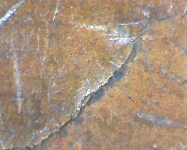 1958-D-Lincoln-Wheat-Cent-W/-Odd-Lamination-Strikethru-?