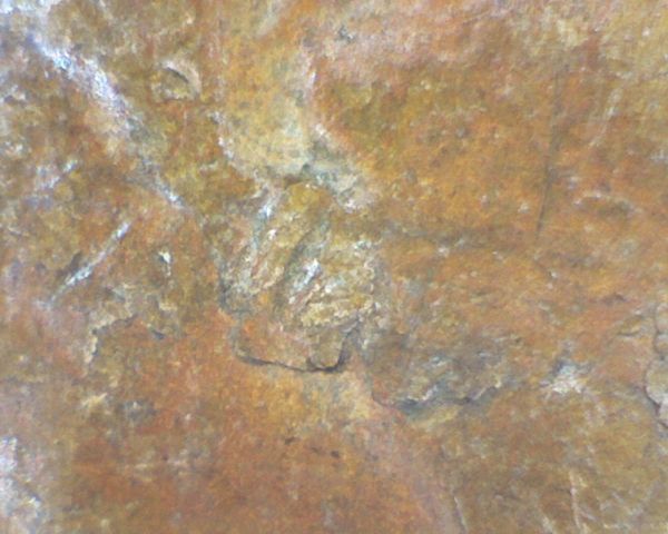 1958-D-Lincoln-Wheat-Cent-W/-Odd-Lamination-Strikethru-?