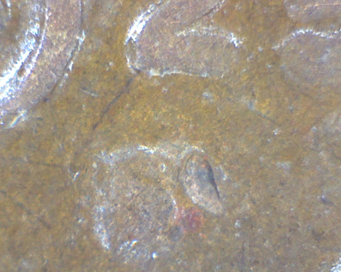 1925-S-Lincoln-Wheat-Cent-Struck-Through-Grease-OBV-&-Rev?