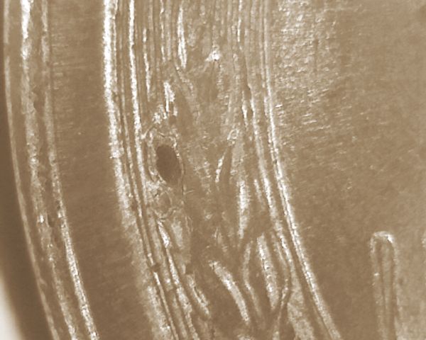 1957-P-Lincoln-Wheat-Cent-DDR?