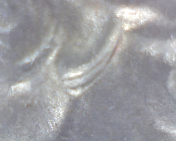 Help-With1944-P-Washington-Quarter-MDo-01---MDo-#1-Not-DDO