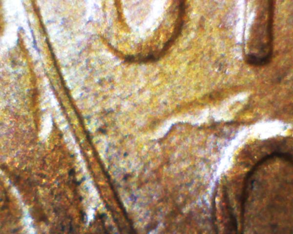 1951-D-Lincoln-Wheat-Cent--DDO-1