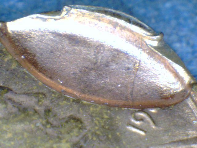 198x-Copper-Lincoln-Struck-Through-Wire-/-Finned-Rim-/-Indented