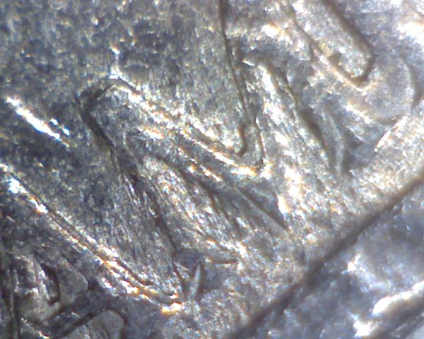 1984-D-Jefferson-Nickel-Reverse-Weirdness-?
