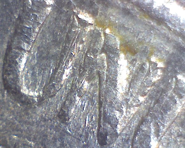 1984-D-Jefferson-Nickel-Reverse-Weirdness-?