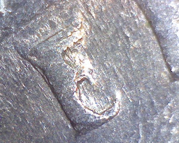 1984-D-Jefferson-Nickel-Reverse-Weirdness-?
