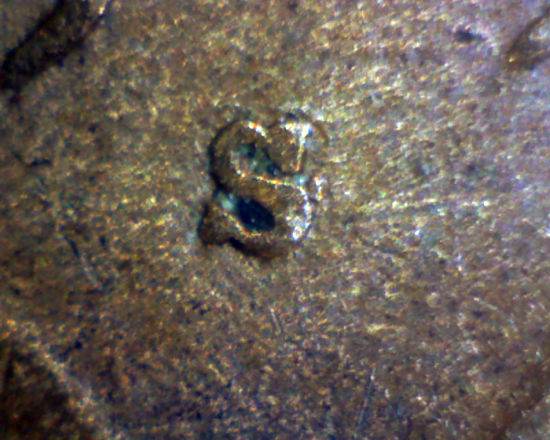 1909-S-Lincoln-Wheat-Cent-S/S--Horizontal