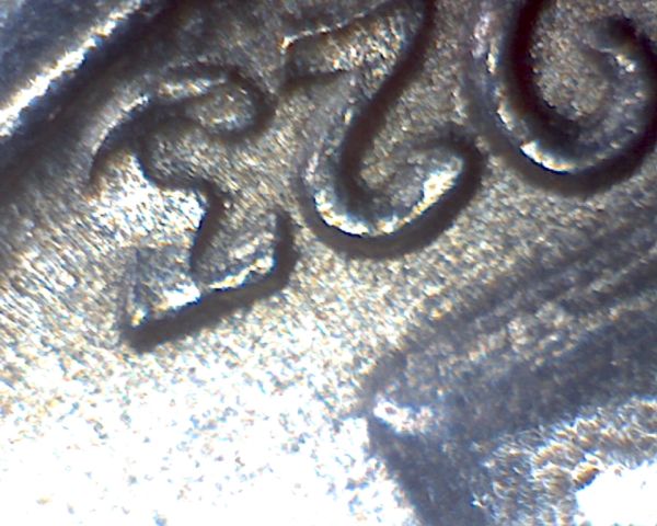 1923-Mercury-Dime-?
