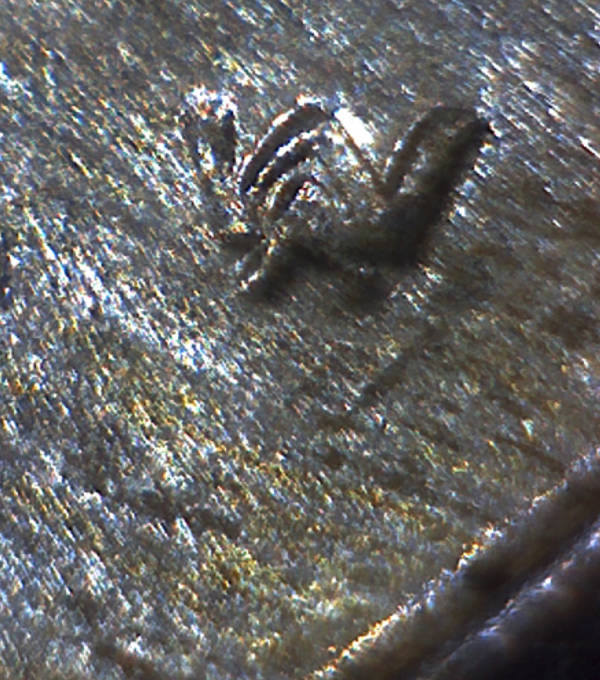 1937-P-Mercury-Dime-DDO-003-Or-DDO-002