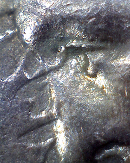 1917-Mercury-Dime-Leaved-Clashed-Die-Variety