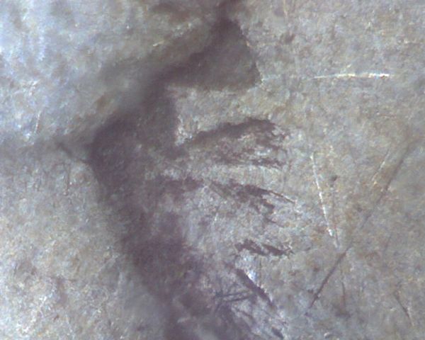 1921-P-&-D-Mercury-Dime-Leaved-Clashed-Die-Set