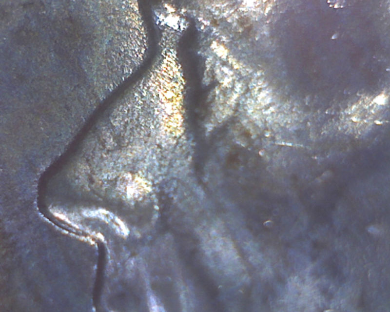 Help-With-1943-P-War-Nickel-WDDO-004-&-WDDR-001