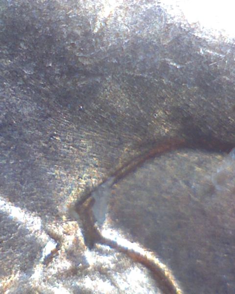 Two-1960-D-Lincoln-Cents-Looks-Like-Die-Chip/-But-Clash?