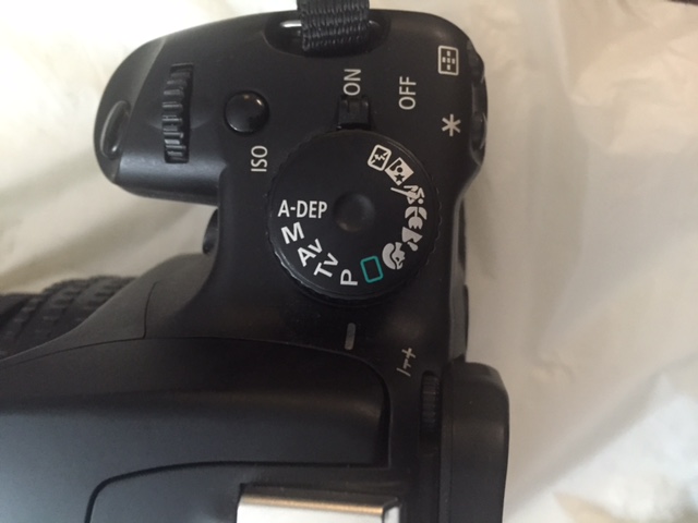 Any-Recommendations-For-Canon-Digital-Slr-Camera-&-Macrolens