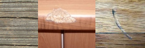 Would-This-Be-A-Die-Chip-Or-Crack-?