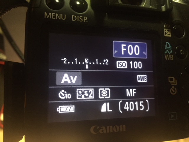 Any-Recommendations-For-Canon-Digital-Slr-Camera-&-Macrolens