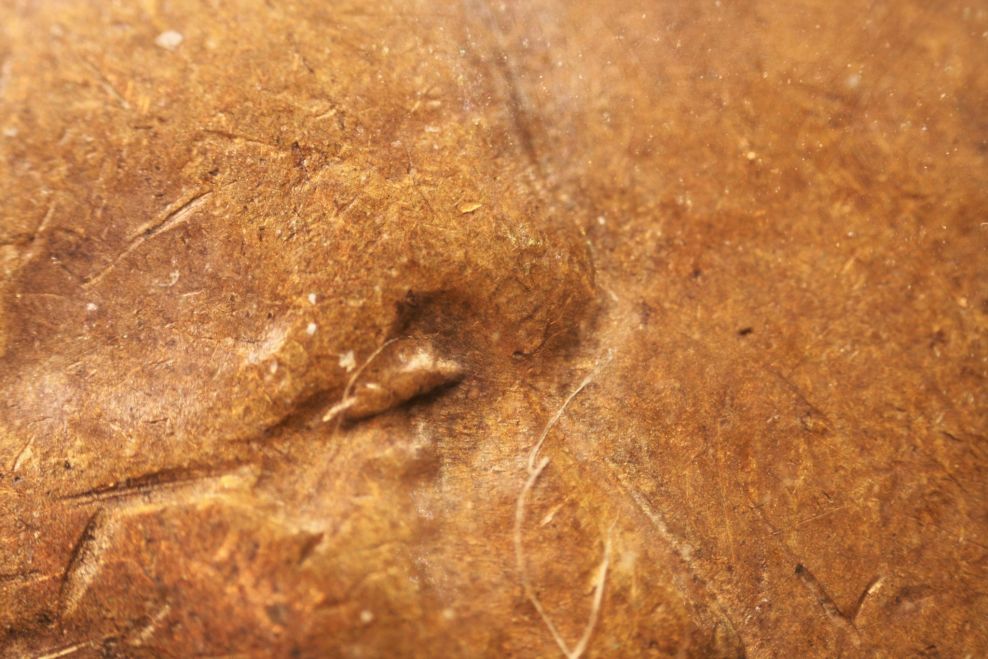 1944-P-Lincoln-Cent-1-DO-015