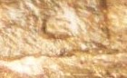 Guess-The-Variety-Attribution-Contest-W/-Multiple-Prizes