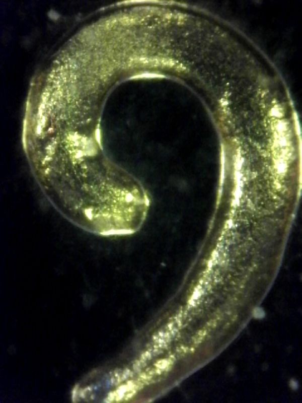 1962-Proof-Lincoln-Cent-1-DR-001-P-&-1-D0-004-P