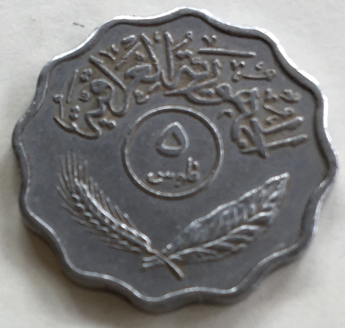 Someone-Would-Like-To-Buy-This-Iraqi-Coin.