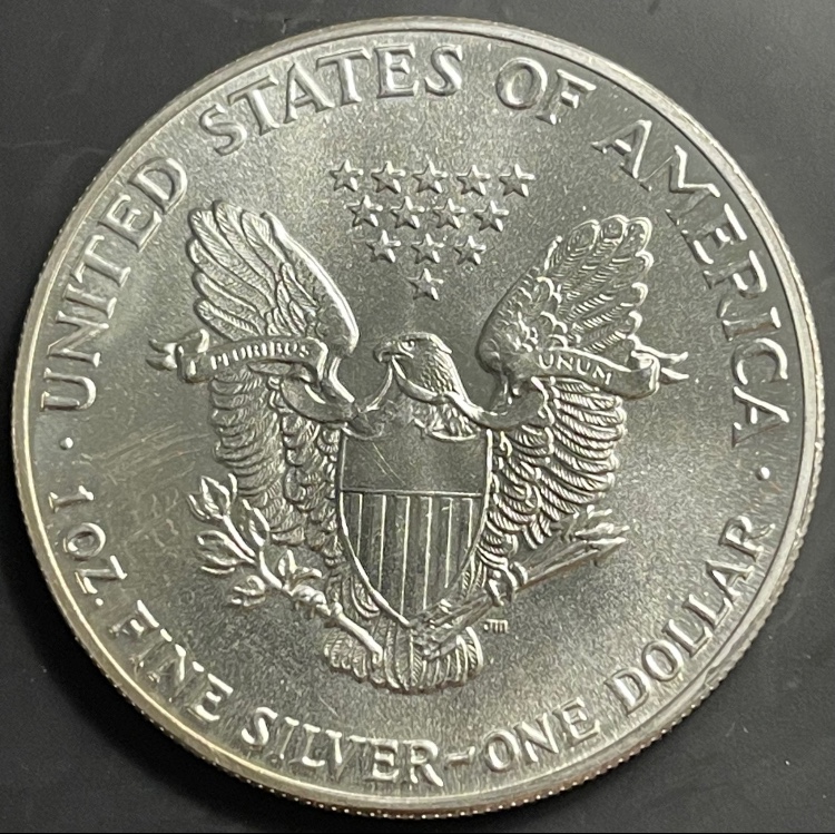 Is-This-An-Error?-1986-Silver-Eagle