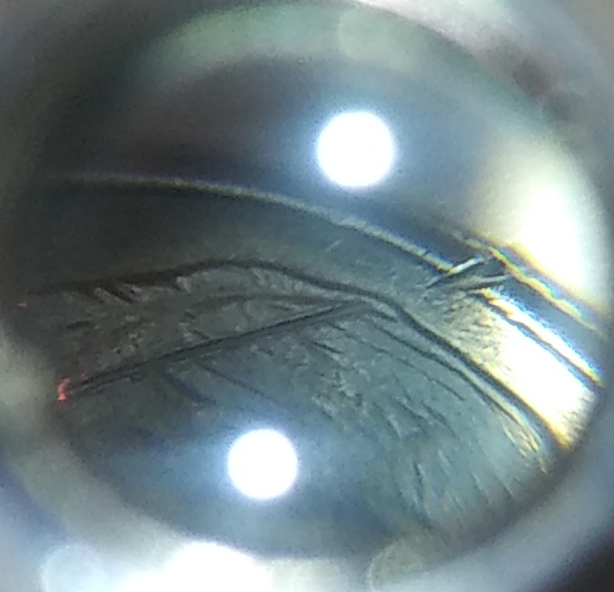 1998-P-Roosevelt-Dime-With-Line-On-His-Head