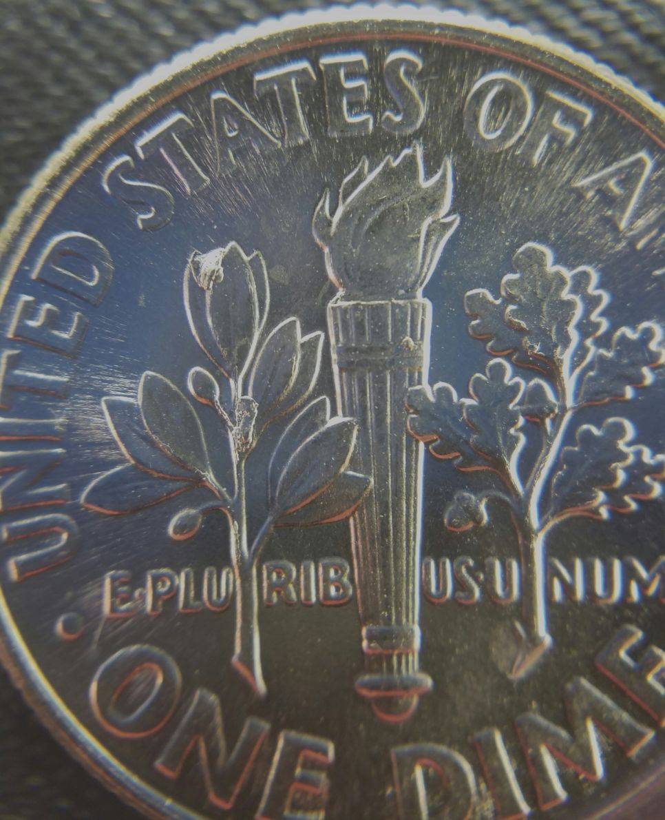 How-Much-Do-Die-Chips-Affect-A-Coin's-Grade?