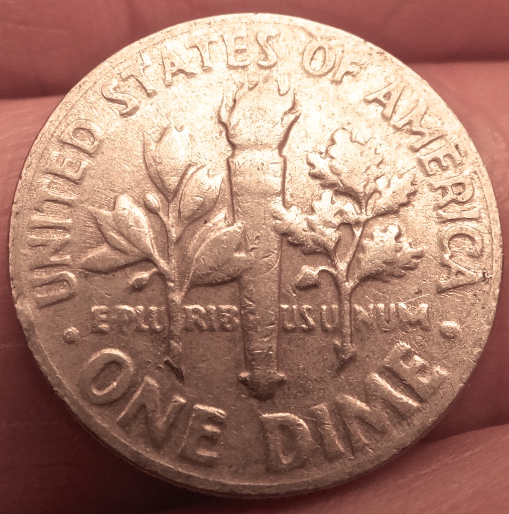 Would-Like-Your-Opinion-On-This-Dime