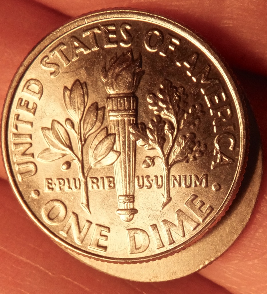Would-Like-Your-Opinion-On-This-Dime