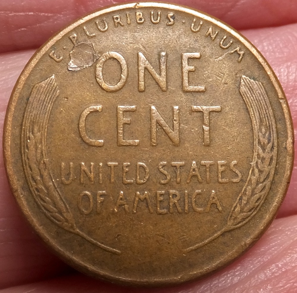 1955-LWC-With-Reverse-Lamination-Peel