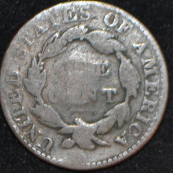 The-65-Days-Of-Large-Cents!