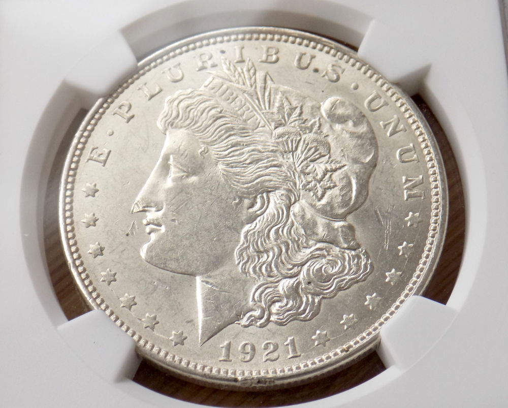 Morgan-Dollar,-Beautiful-Coin-Sporting-Some-Serious-Bag-Marks