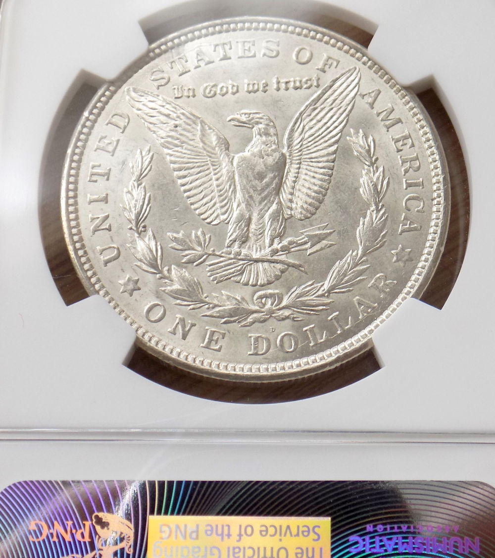 Morgan-Dollar,-Beautiful-Coin-Sporting-Some-Serious-Bag-Marks