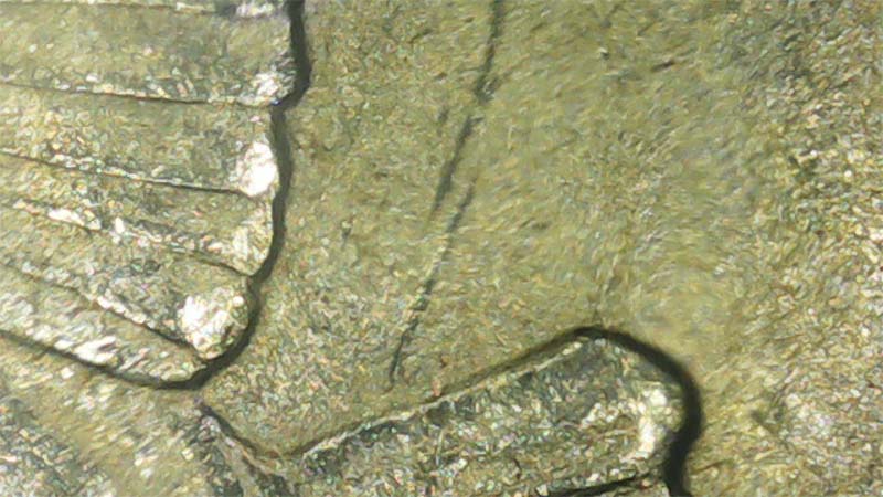 1971-D-Eisenhower-Dollar-Wing-Error?