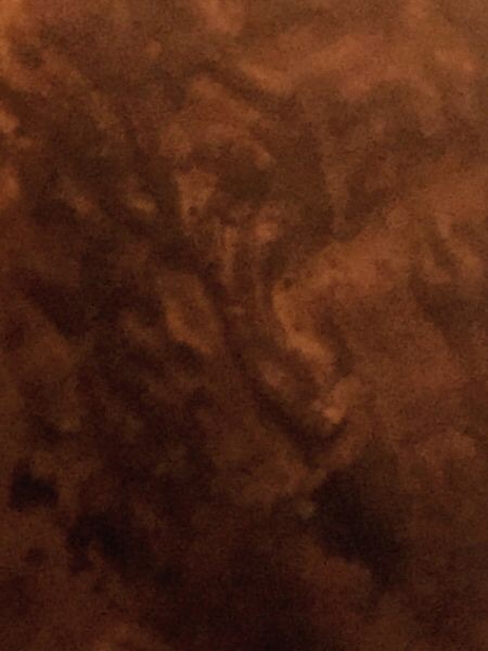 1988-Double-Ear?