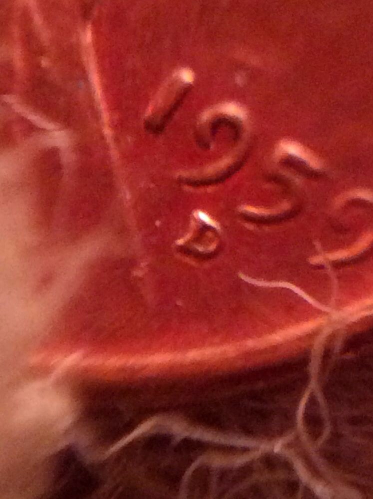 1958-D-Wheat-Penny-New-Pics