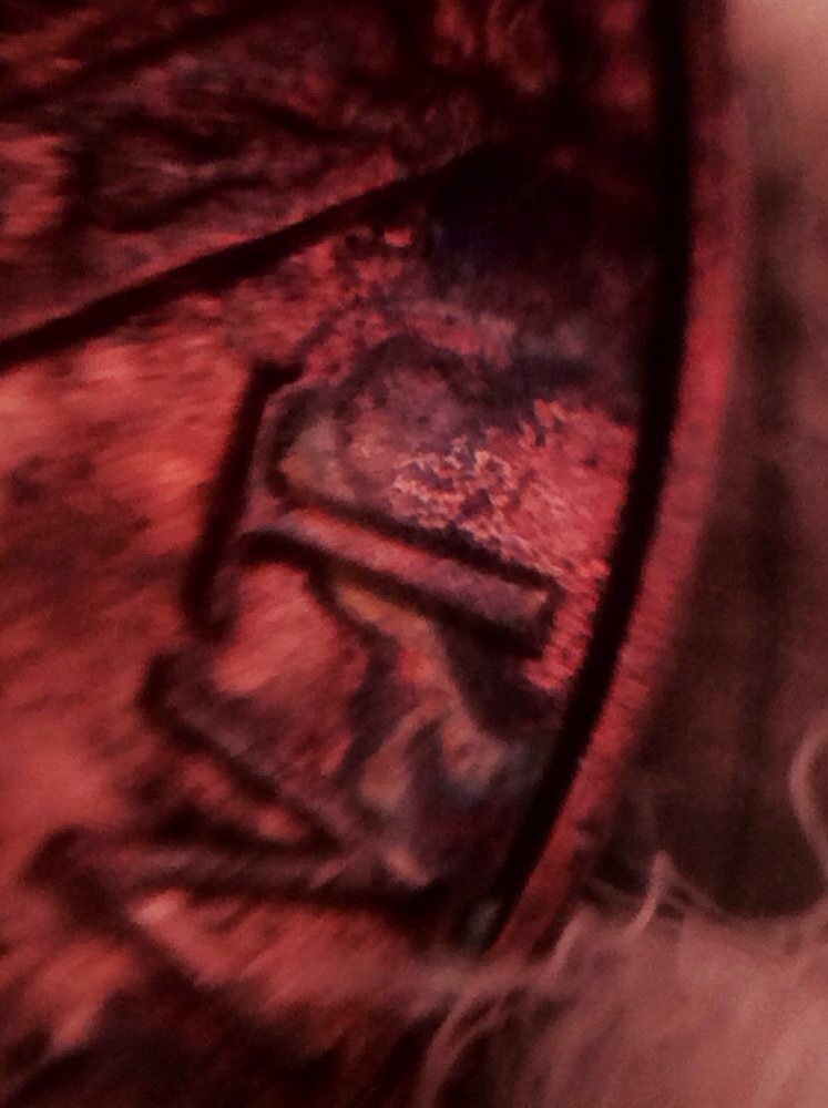Is-This-From-Someone-Squeezing-Something-On-This-Penny