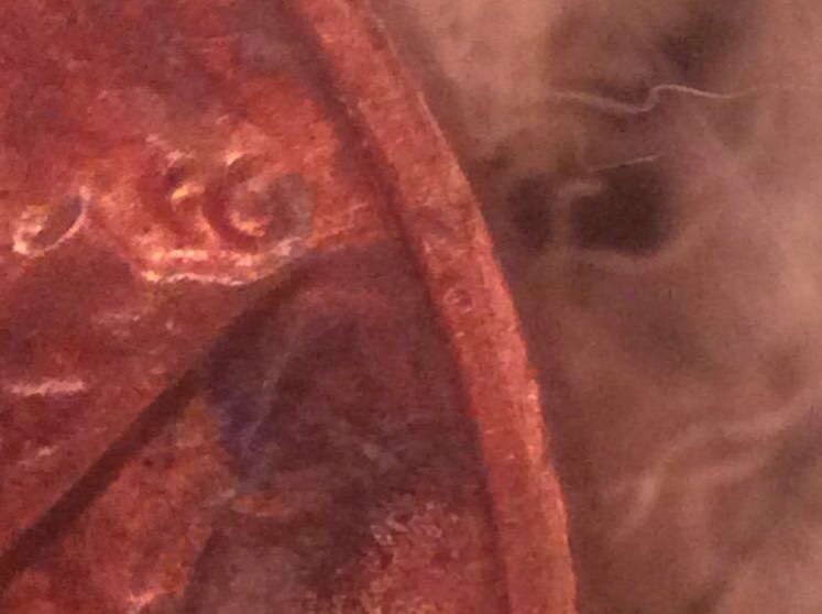 Is-This-From-Someone-Squeezing-Something-On-This-Penny