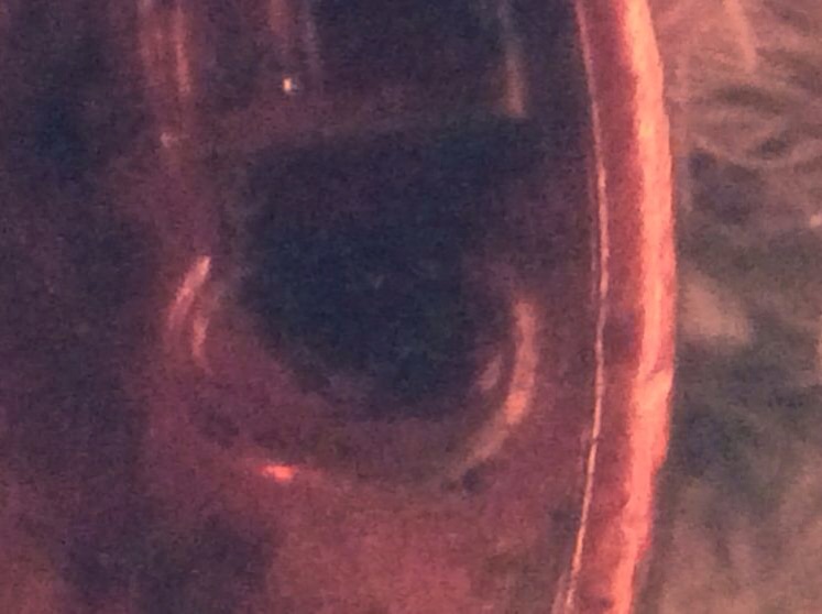 Is-This-From-Someone-Squeezing-Something-On-This-Penny