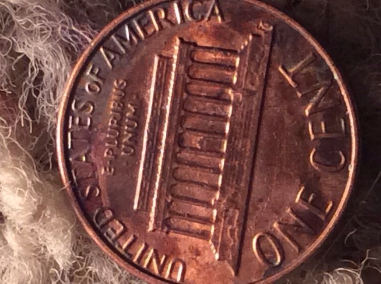 Is-This-From-Someone-Squeezing-Something-On-This-Penny