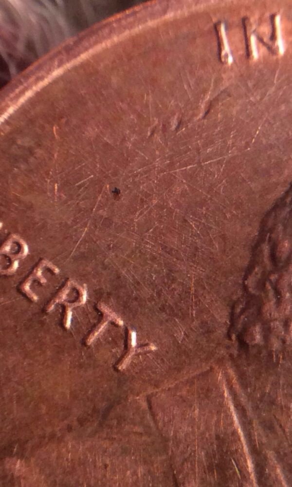 A-Look-At-The-1988-Doubled-Ear-Cent--First-One-Reported