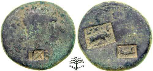 Coin---A-Counter,-Or-Another-?