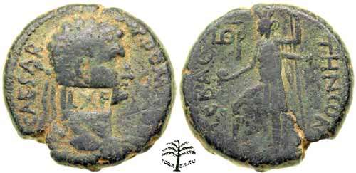 Coin---A-Counter,-Or-Another-?