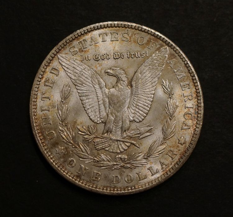 Morgans-1882-CC-And-Two-More